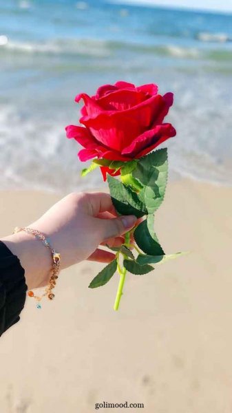  عکس گل برای پروفایل اینستا دخترونه