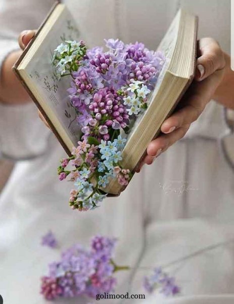 عکس گل برای پروفایل اینستا دخترونه