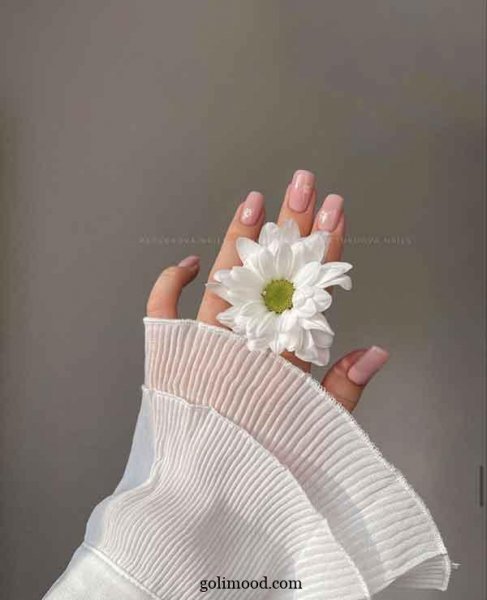  عکس گل برای پروفایل اینستا دخترونه