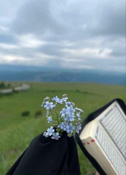  عکس گل برای پروفایل اینستا دخترونه