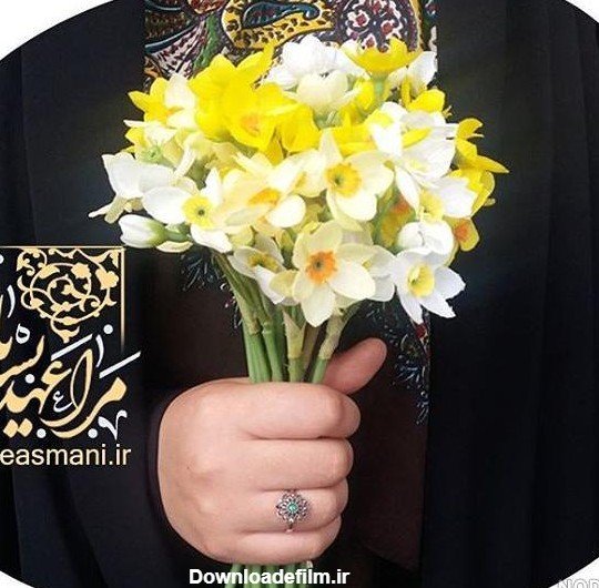  عکس دختر با گل نرگس برای پروفایل