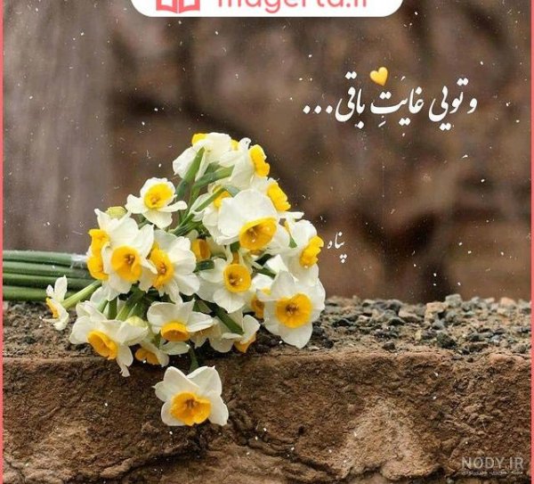  عکس دختر با گل نرگس برای پروفایل
