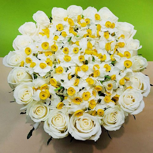  پروفایل گل نرگس عاشقانه