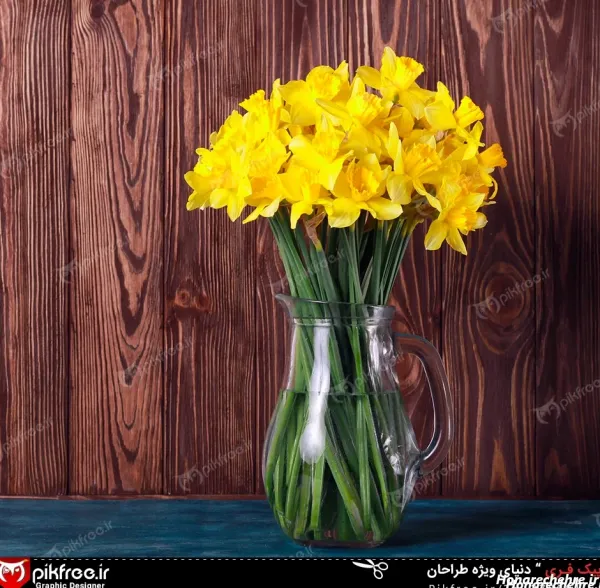  عکس گل نرگس برای پروفایل