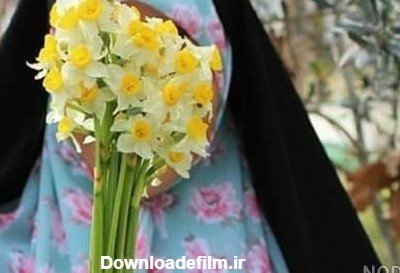  عکس گل نرگس در دست دختر چادری