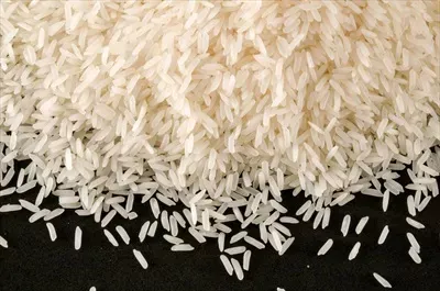  عکس عکاسی هنری