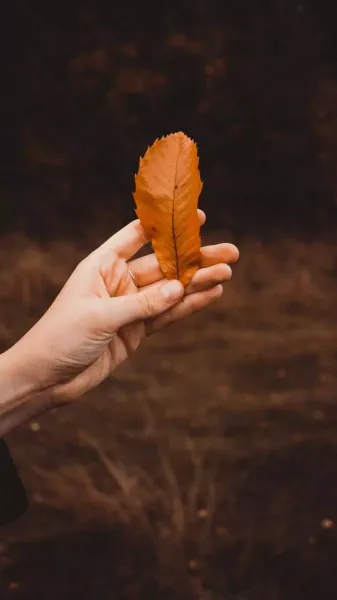  پروفایل دختر پاییزی