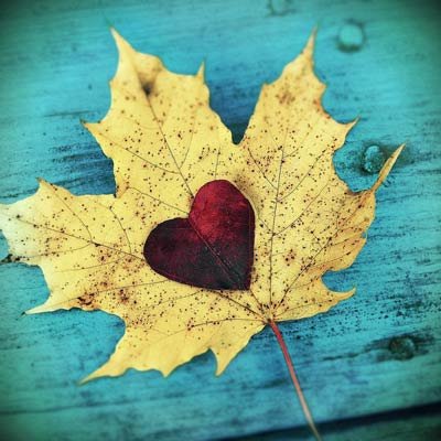  پروفایل پاییزی عاشقانه