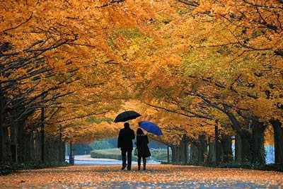  پروفایل پاییزی عاشقانه