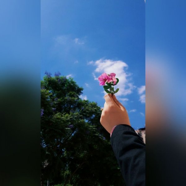  جدید ترین عکس پروفایل دخترانه