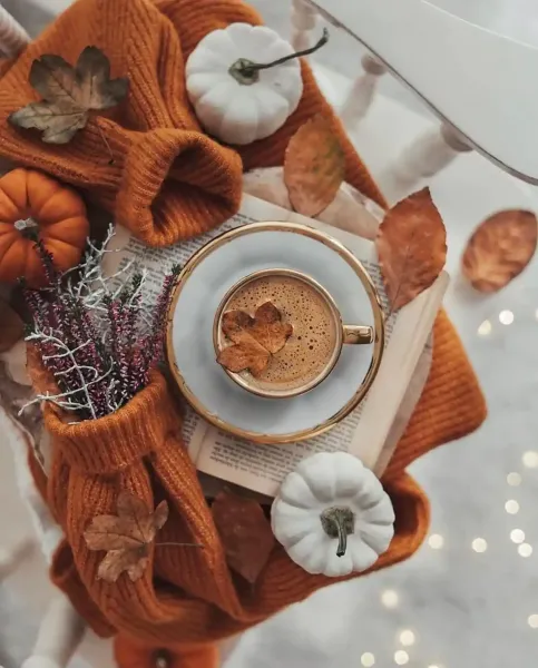  عکس ماگ پاییزی