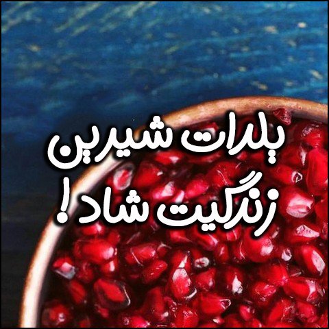  استوری عاشقانه شب یلدا