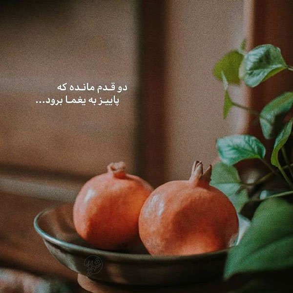 عکس شب یلدا ۱۴۰۰