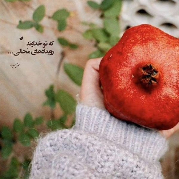 عکس شب یلدا ۱۴۰۰