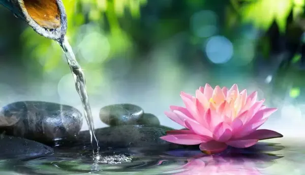  عکس‌ آرامش‌بخش