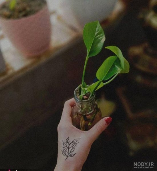  عکس آرامش بخش کیوت