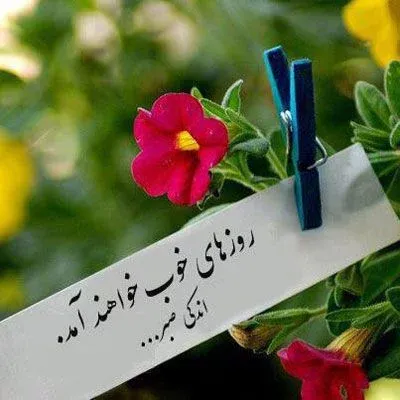 رمانتیک عکس پروفایل آرامش دهنده