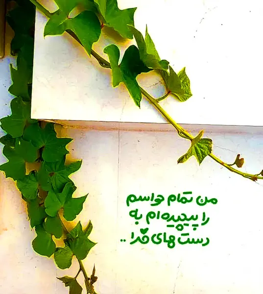  پروفایل آرامش خدایی