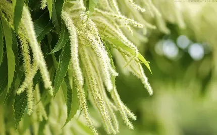  دانلود عکس آرامش بخش
