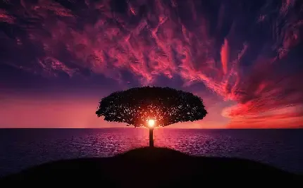  دانلود عکس آرامش بخش