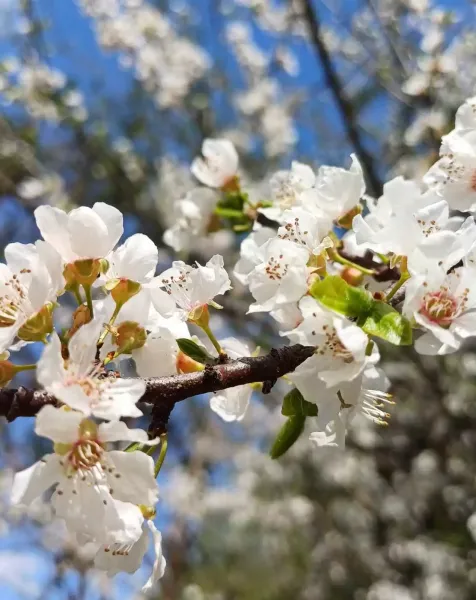  عکس های آرامشی