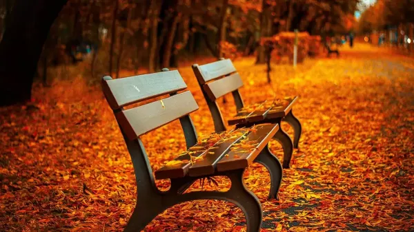  عکس های آرامشی