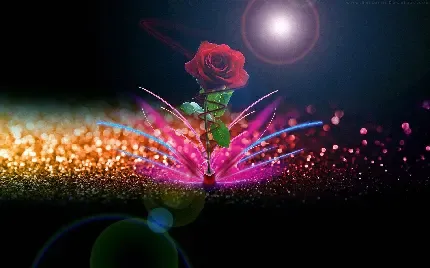  عکس های ارام