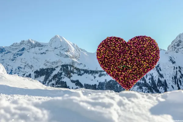  عکس برف برای پروفایل