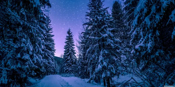  عکس دانه برف برای پروفایل