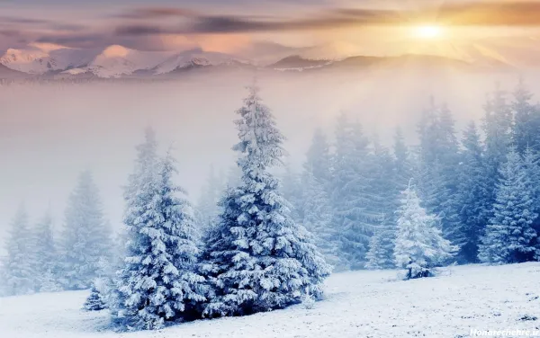  عکس دانه برف برای پروفایل