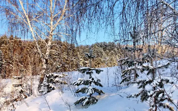 عکس زمستانی برای پروفایل
