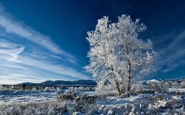 عکس زمستانی برای پروفایل