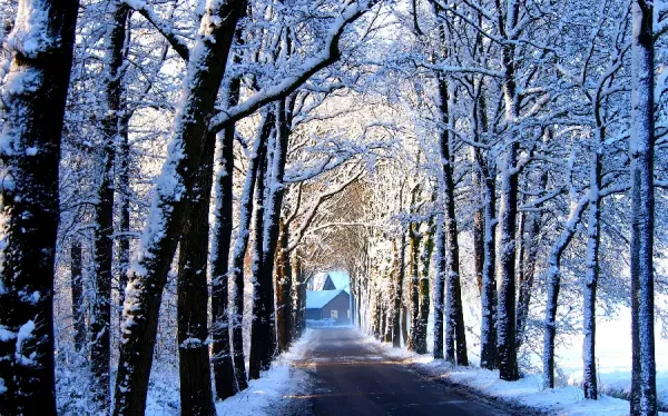  عکس زمستانی برای پروفایل