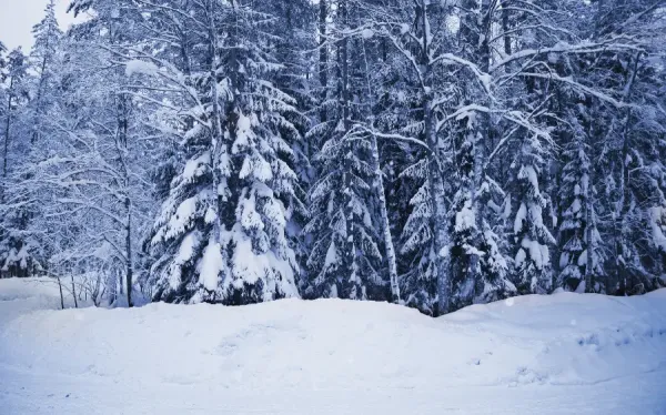  عکس زمستانی برای پروفایل