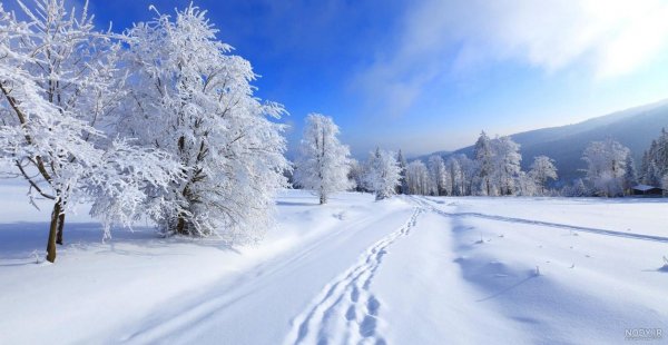  پروفایل زمستانی غمگین بدون متن