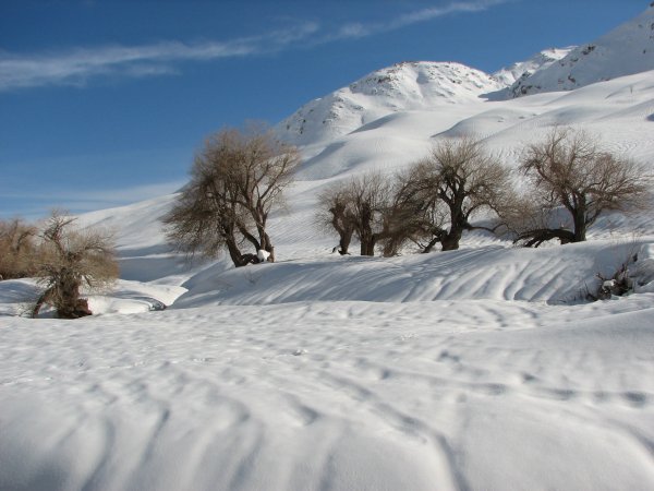  عکس زمستان ایران