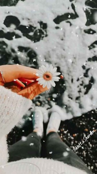 عکس پروفایل جدید امسال بدون متن زمستانی