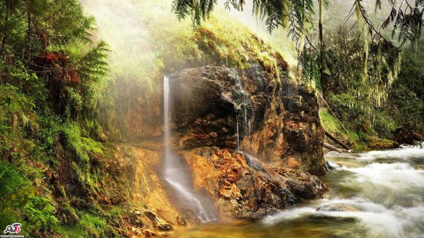  عکسهای آرامش بخش از طبیعت