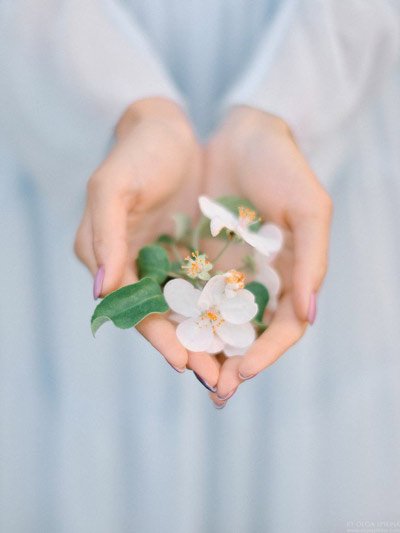  عکس زیبای طبیعت