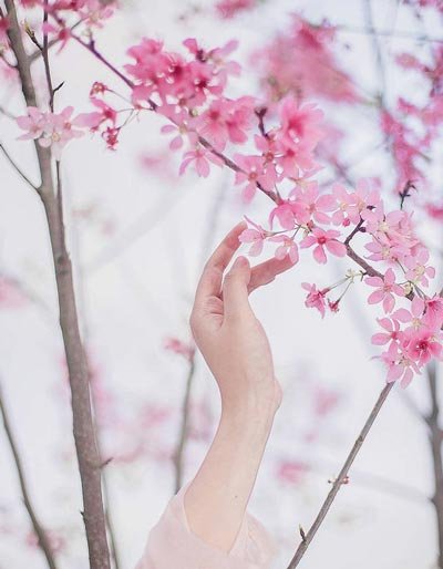 عکس زیبای طبیعت