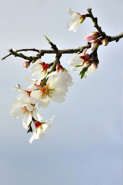  عکس زیبای طبیعت