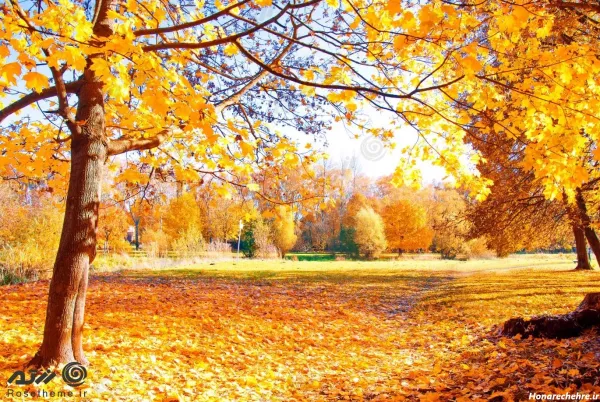  عکس های جالب و آرامش بخش از طبیعت