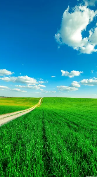  عکس های جالب و آرامش بخش از طبیعت