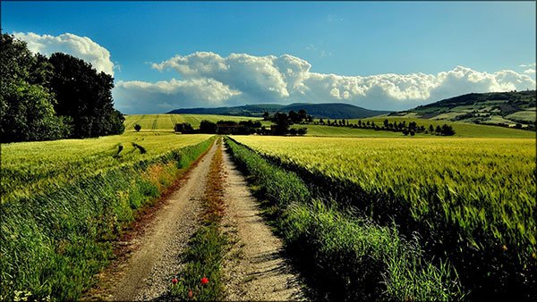  تصاویر دیدنی از طبیعت