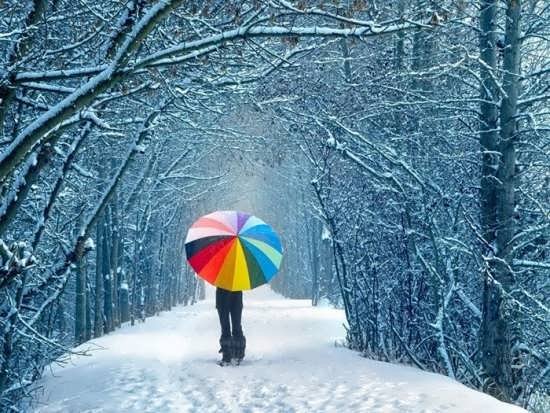  عکس طبیعت زیبا و دلنشین