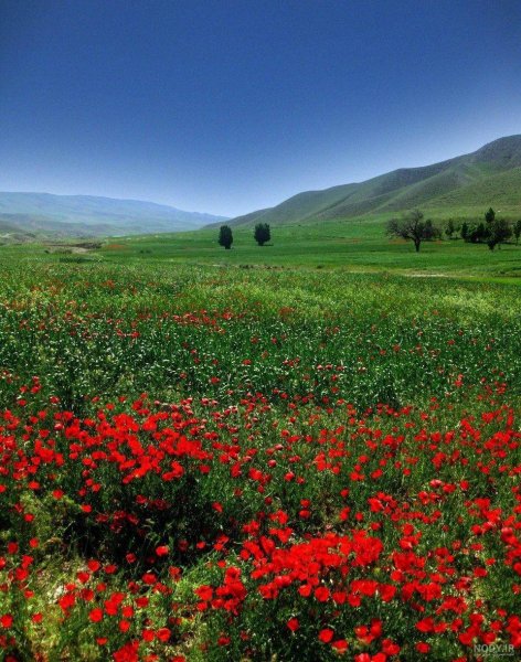  عکس طبیعت رویایی
