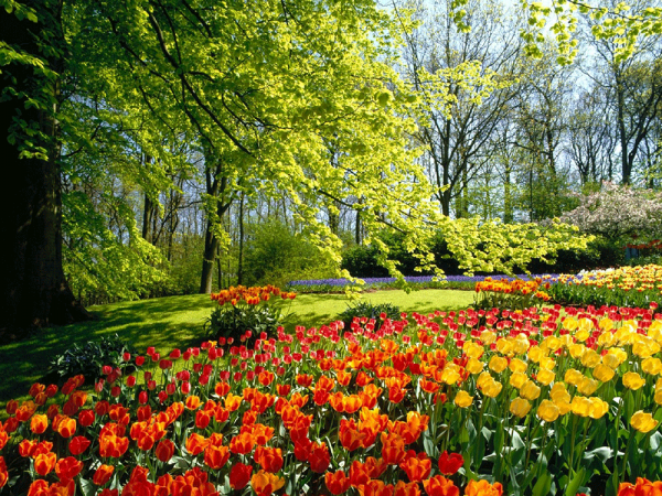  عکس طبیعت رویایی