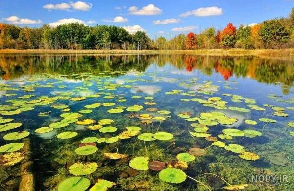  عکس طبیعت رویایی