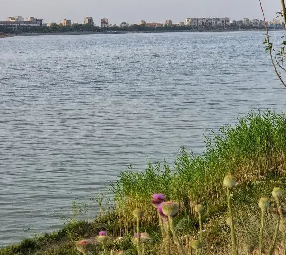  عکس طبیعت دریاچه