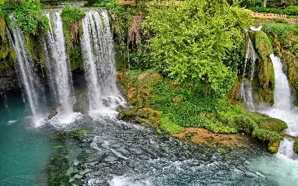  عکس ابشار شمال